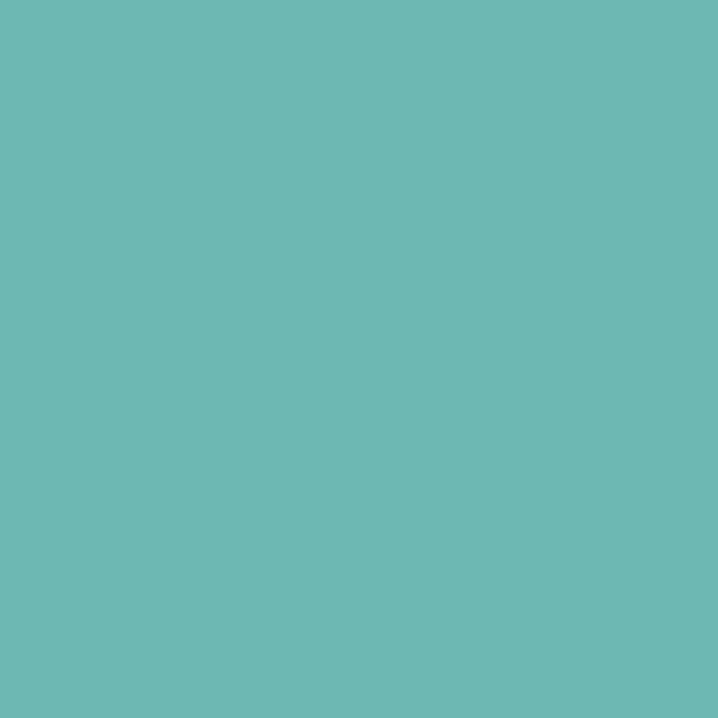 Robin Egg