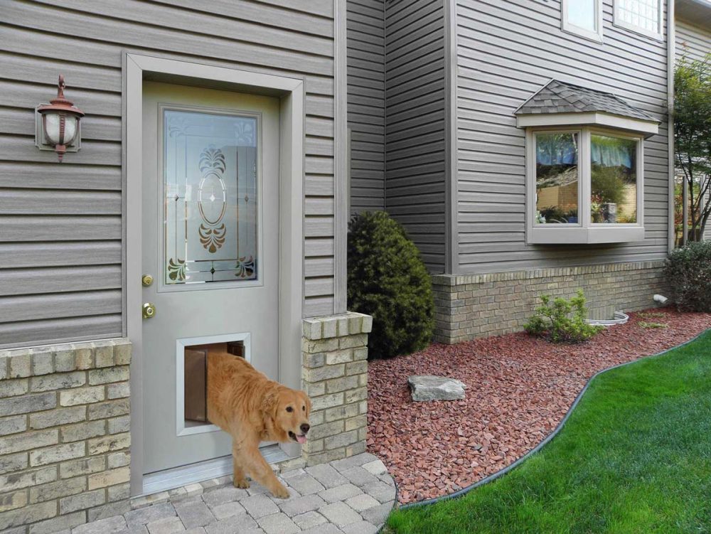Pet Door